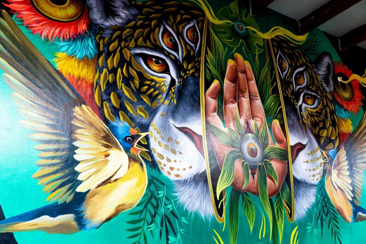 Black Llama Hostel Miraflores Lima Kültér fotó