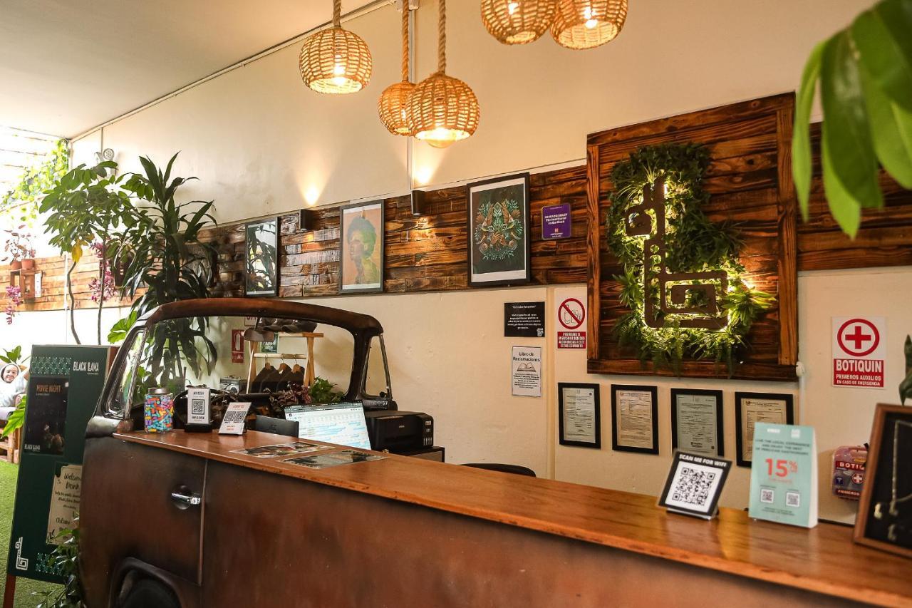 Black Llama Hostel Miraflores Lima Kültér fotó