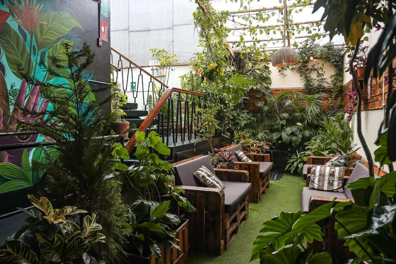 Black Llama Hostel Miraflores Lima Kültér fotó